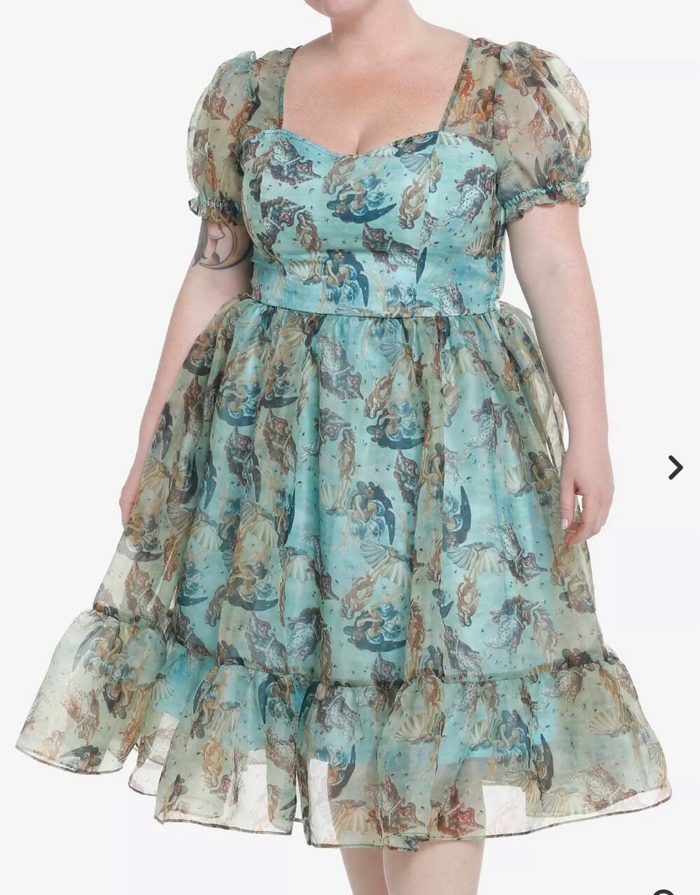 Thorn & Fable The Birth Of Venus Mesh Puff Renaissance Artsy Dress Plus Size 4X